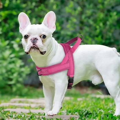 Solid Color Harness with Dual Clip - Image 14