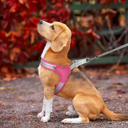 Breathable Harness with Reflective Design - Image 8