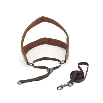 Vest Style Pet Harness with Durable Leash