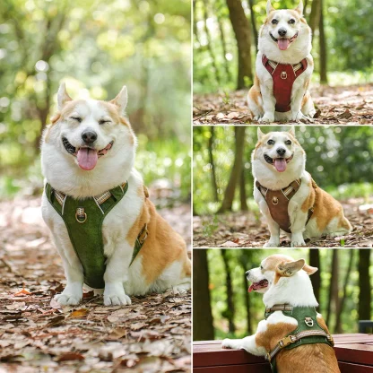 Durable Waterproof Harness for Dogs - Image 9