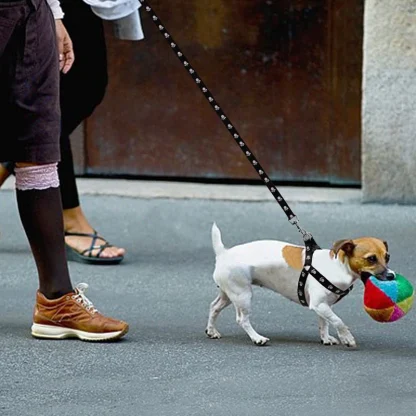 Paw Print Pet Harness with Leash - Image 8