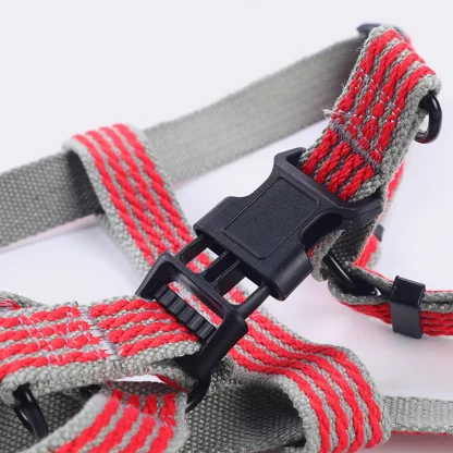 Y-Shaped Dog Harness with Adjustable - Image 9