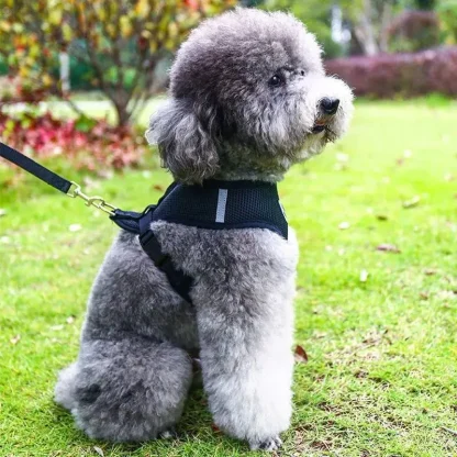 Breathable Harness with Matching Leash - Image 4