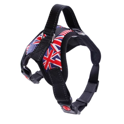 Durable Harness with Adjustable Strap - Image 8