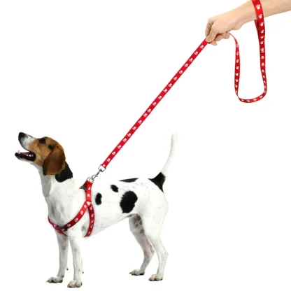 Paw Print Pet Harness with Leash - Image 4