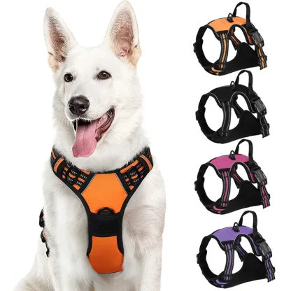 Padded Pet Vest Harness with Dual-Clip - Image 2