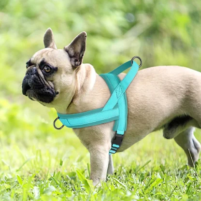 Solid Color Harness with Dual Clip - Image 3