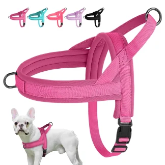 Solid Color Harness with Dual Clip