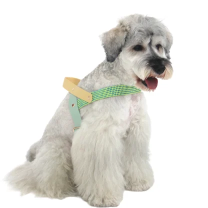 Breathable Pet Harness with Creative Pattern - Image 3