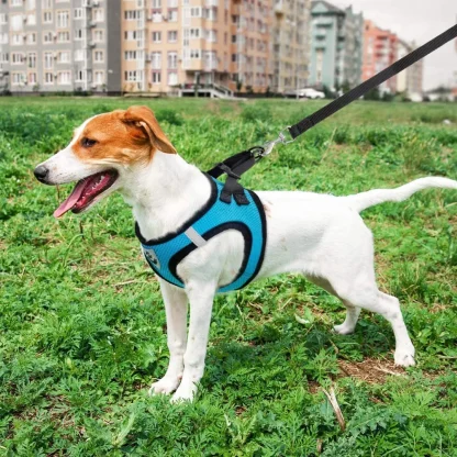 Breathable Harness with Matching Leash - Image 11