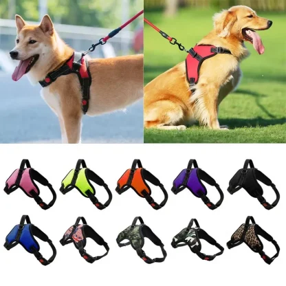 Classic Vest Harness with Durable Buckle - Image 2