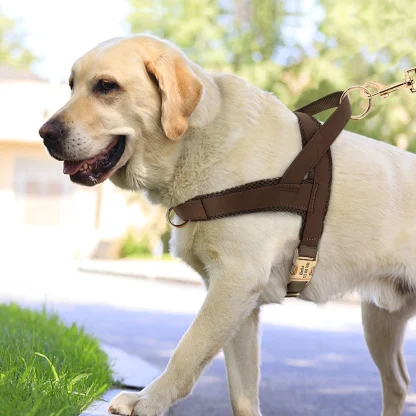 Simple Cushion Adjustable Harness - Image 11