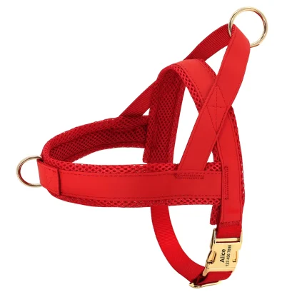 Simple Cushion Adjustable Harness - Image 2