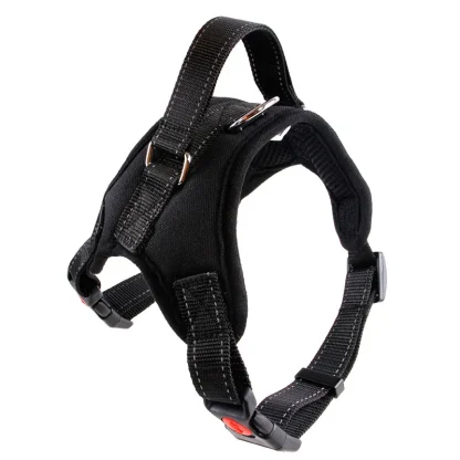 Durable Harness with Adjustable Strap