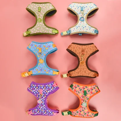 Printed Comfortable Harness with Cute Pendant - Image 2