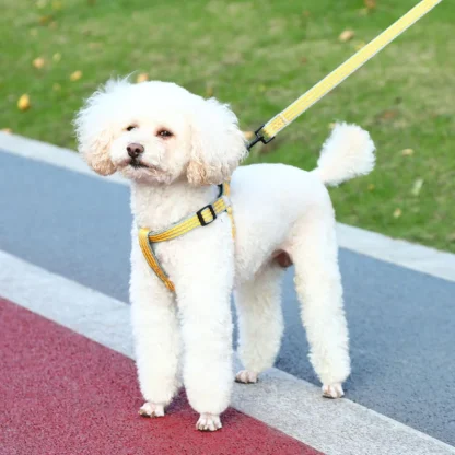 Y-Shaped Dog Harness with Adjustable - Image 5
