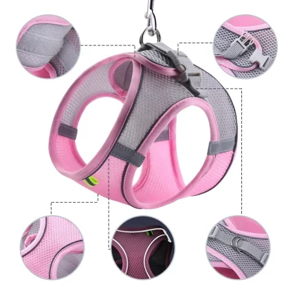 Breathable Harness for Small Dogs - Image 4