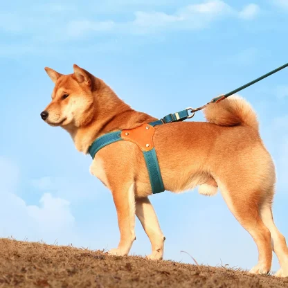 Simple Adjustable Harnesses for Dogs - Image 6