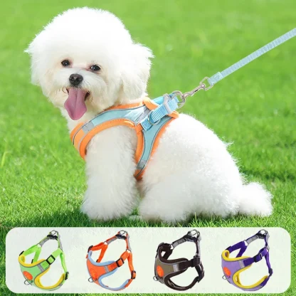 Dual Clip Harness with Leash - Image 2