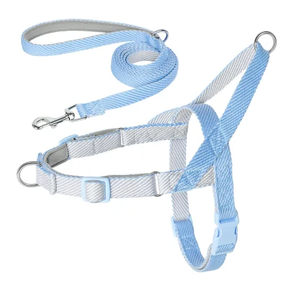 Secure Dog Harness with Adjustable Strap