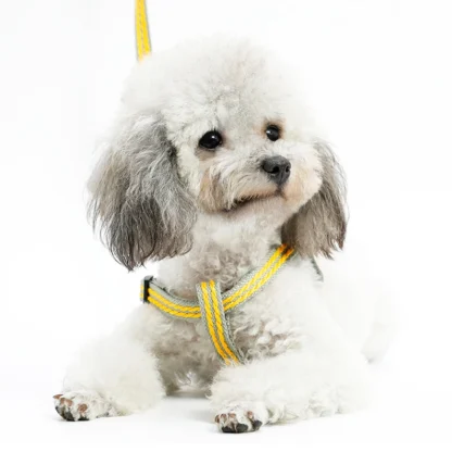 Y-Shaped Dog Harness with Adjustable - Image 3