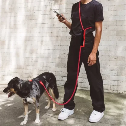 Adjustable Hands Free Leash for Dogs - Image 2