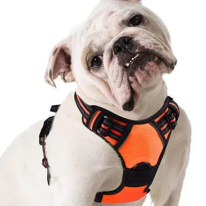 Padded Pet Vest Harness with Dual-Clip - Image 3