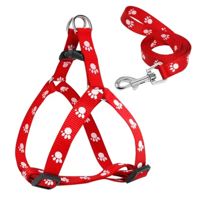 Paw Print Pet Harness with Leash