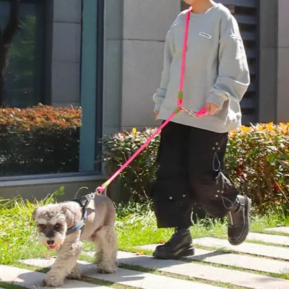 Adjustable Hands Free Leash for Dogs