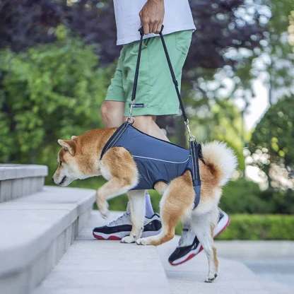 Rehabilitation Sling Padded Harness for Dogs - Image 7